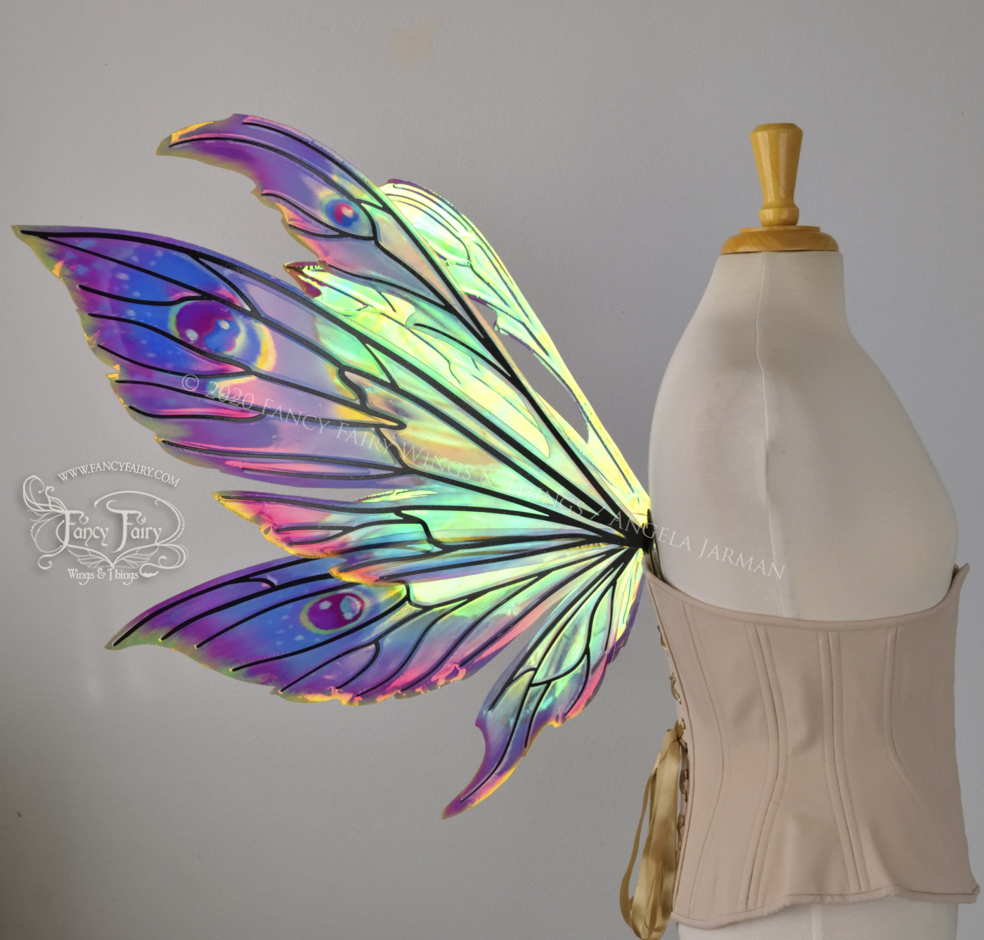 Painted Wings News Fancy Fairy