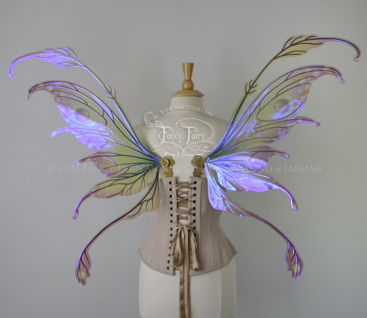  Back view of a dress form wearing an underbust corset &amp; 'Fauna' transparent pink, violet &amp; green iridescent fairy wings with downward curved tips, antennae &amp; wispy 'tails', with gold veining 