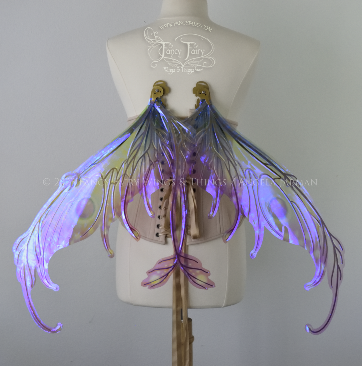  Back view of a dress form wearing an underbust corset &amp; 'Fauna' transparent pink, violet &amp; green iridescent fairy wings with downward curved tips, antennae &amp; wispy 'tails', with gold veining, in resting position 