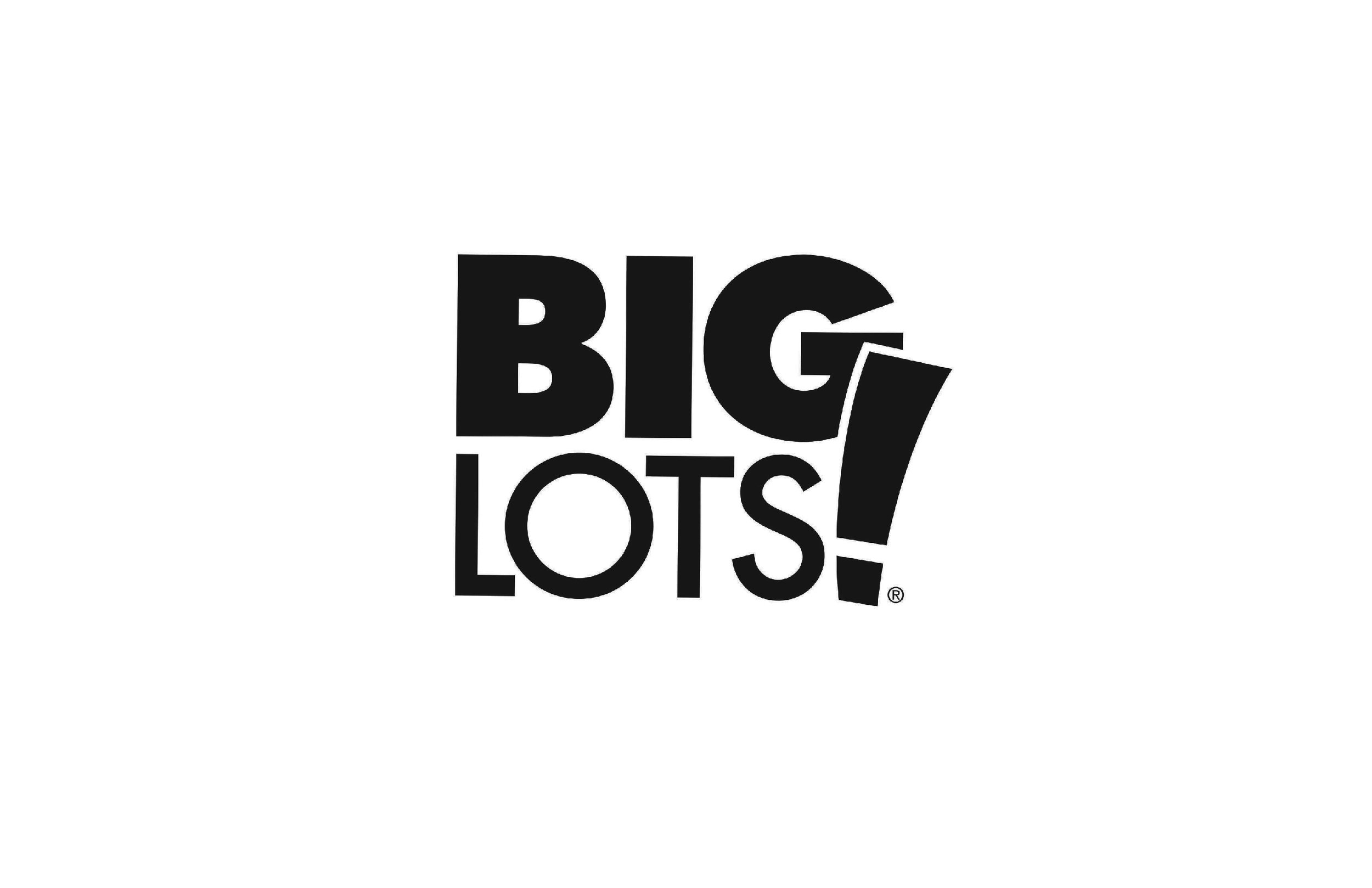 BIG LOTS LOGO PAGE.jpg