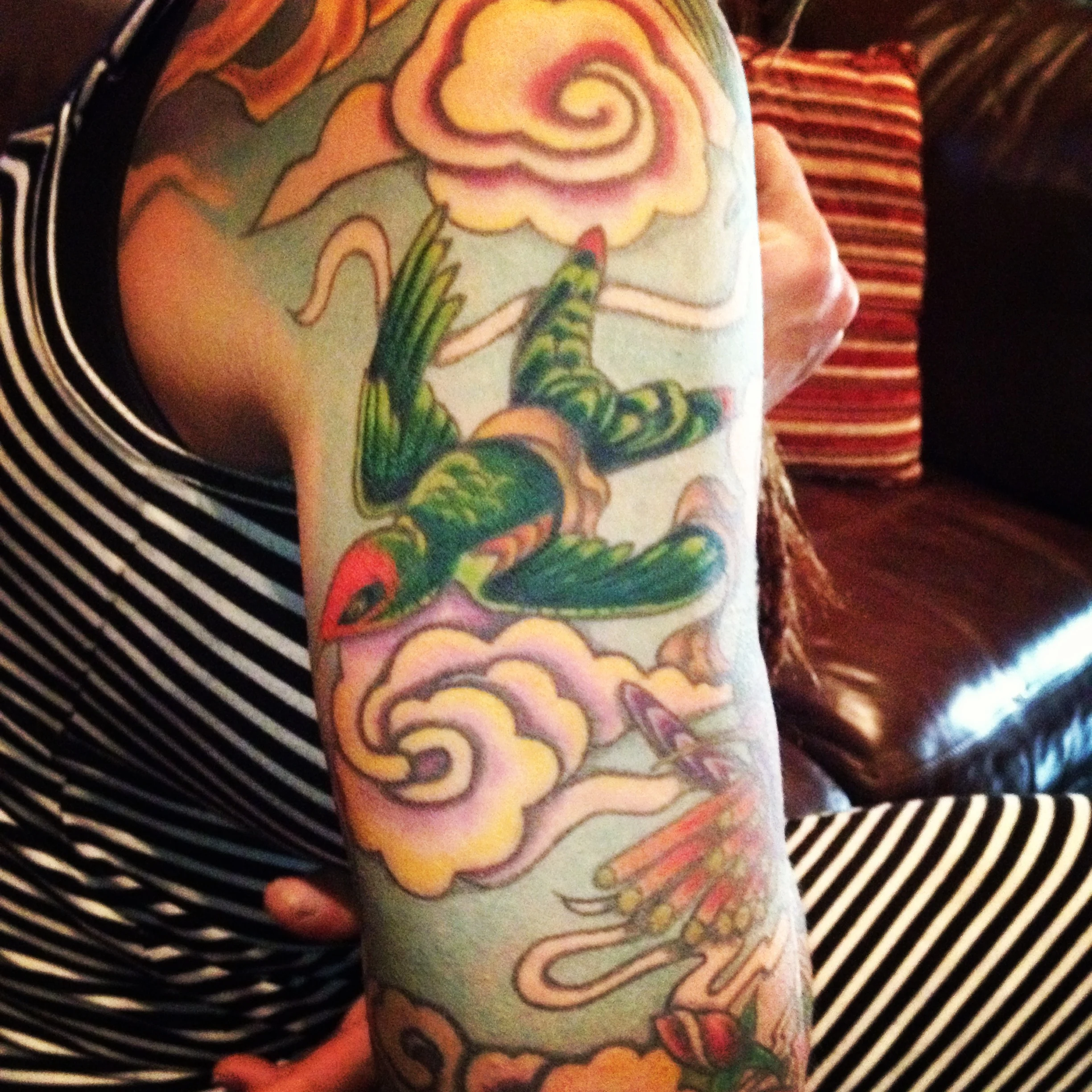 Colorful bird sleeve with Tibetan style clouds