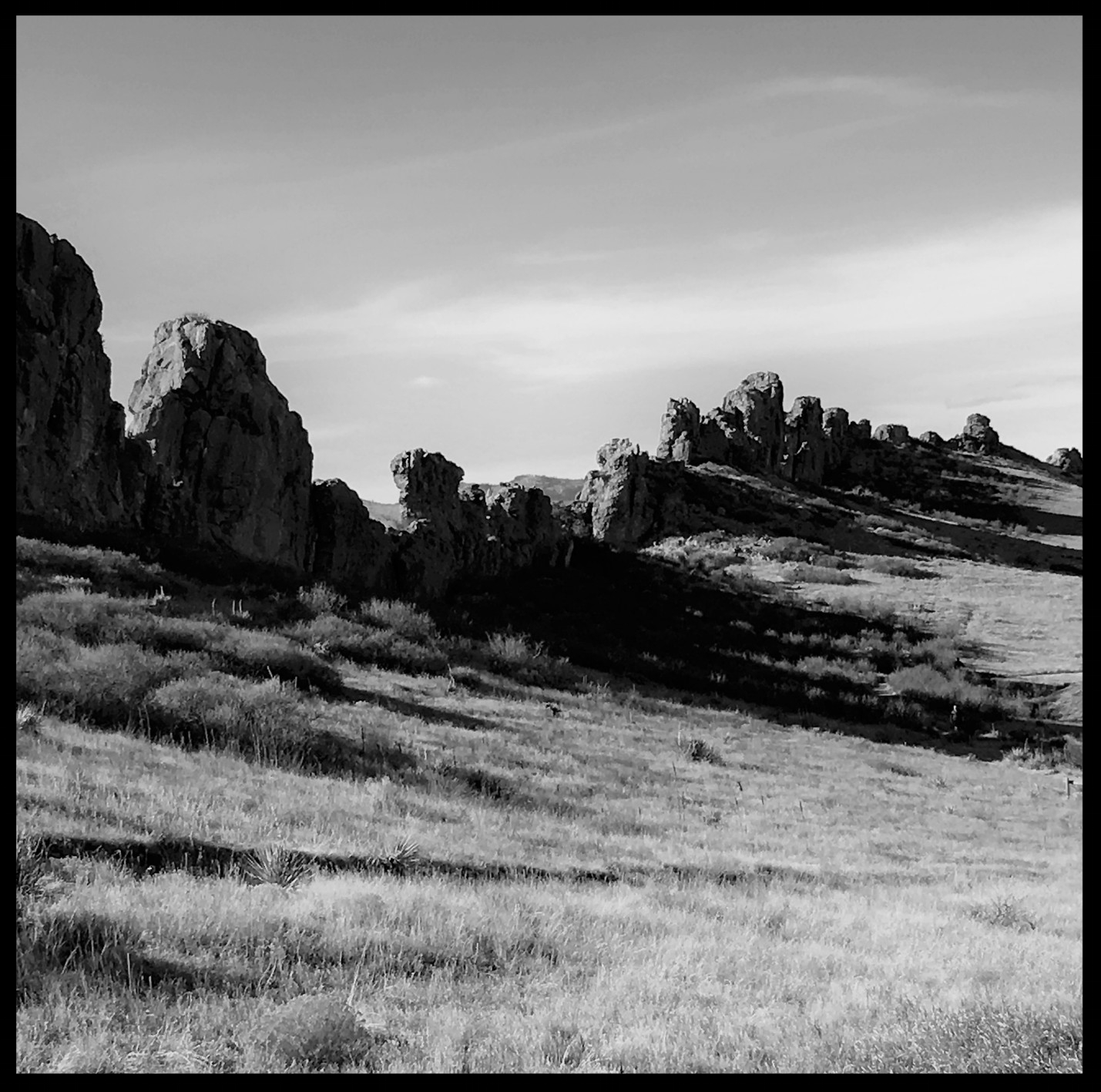 Strange Exuberance.jpg