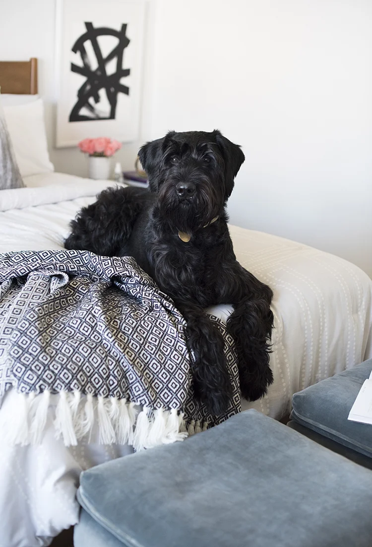 Room For Tuesday Blog: 'A Chic Bedroom'