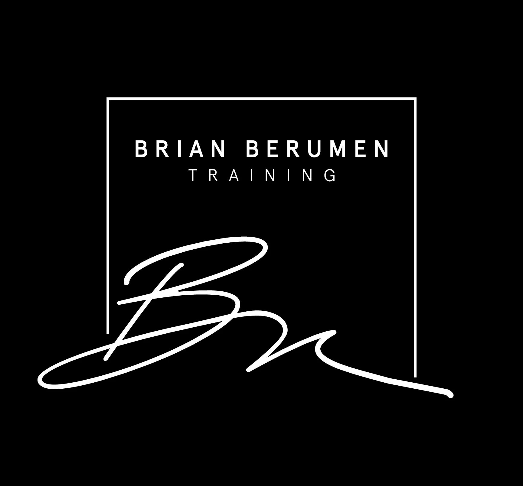 Brian Berumen Logo-02.jpg