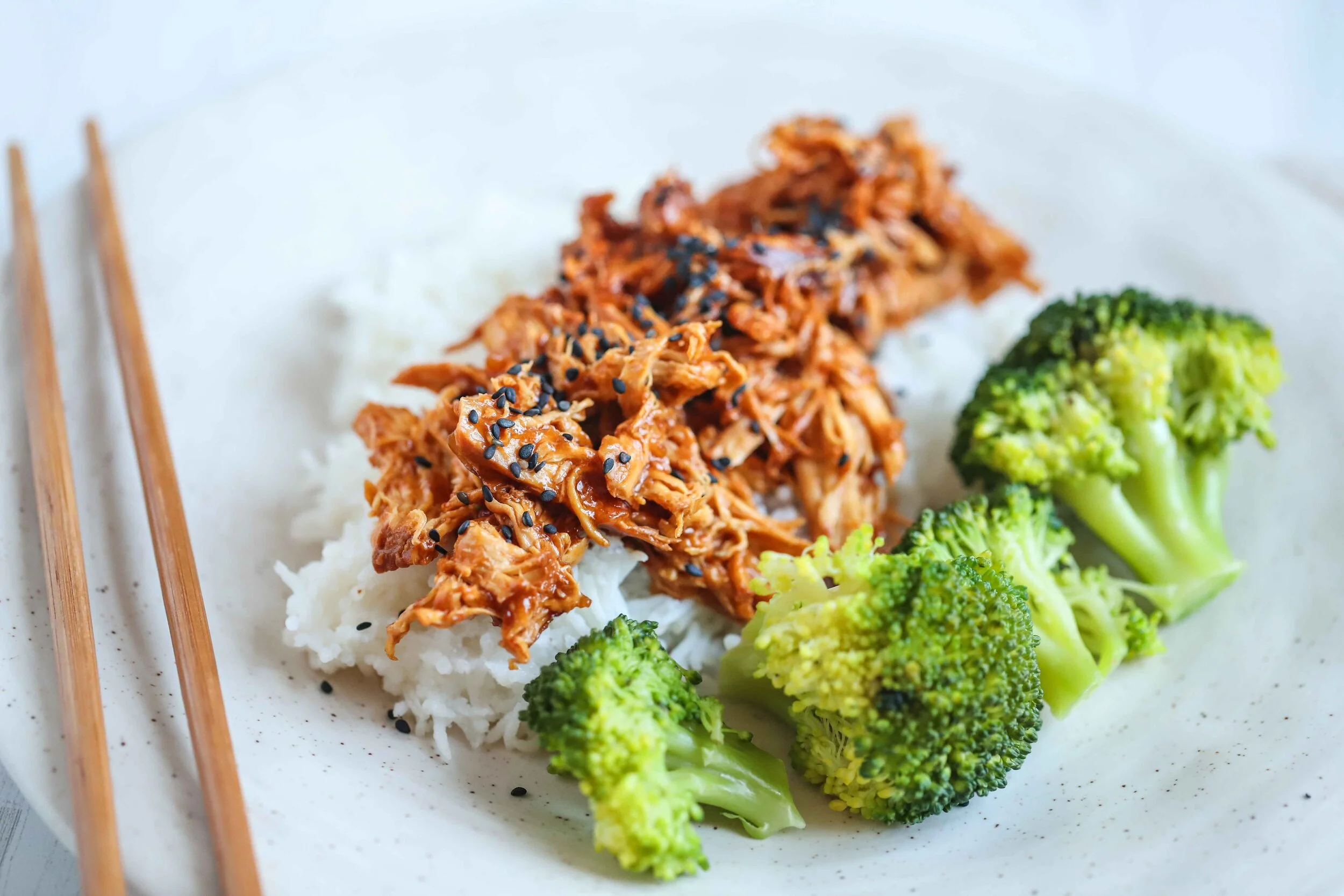 slow-cooked-terriyaki-chicken-8.jpg