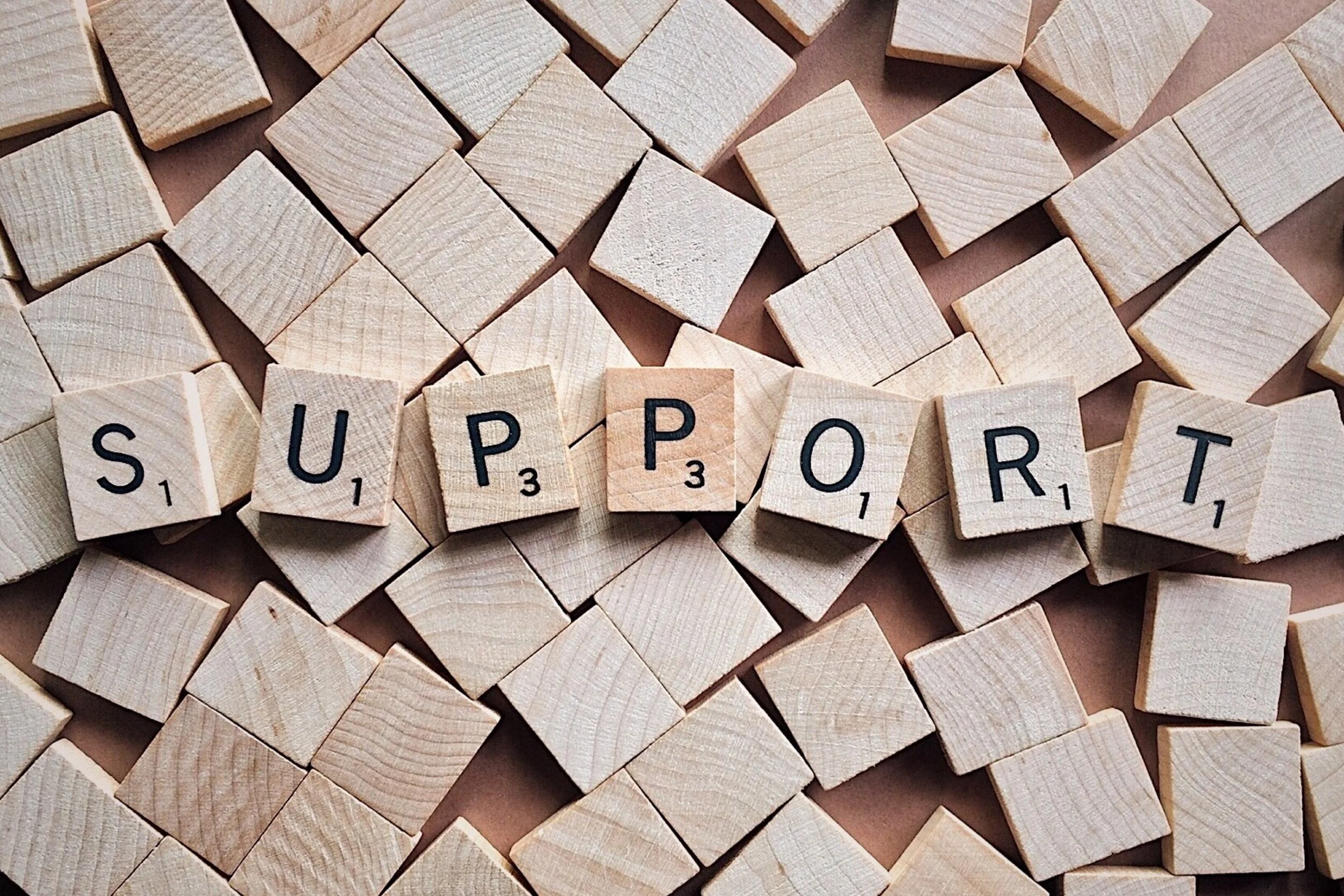 support-2355701.jpg