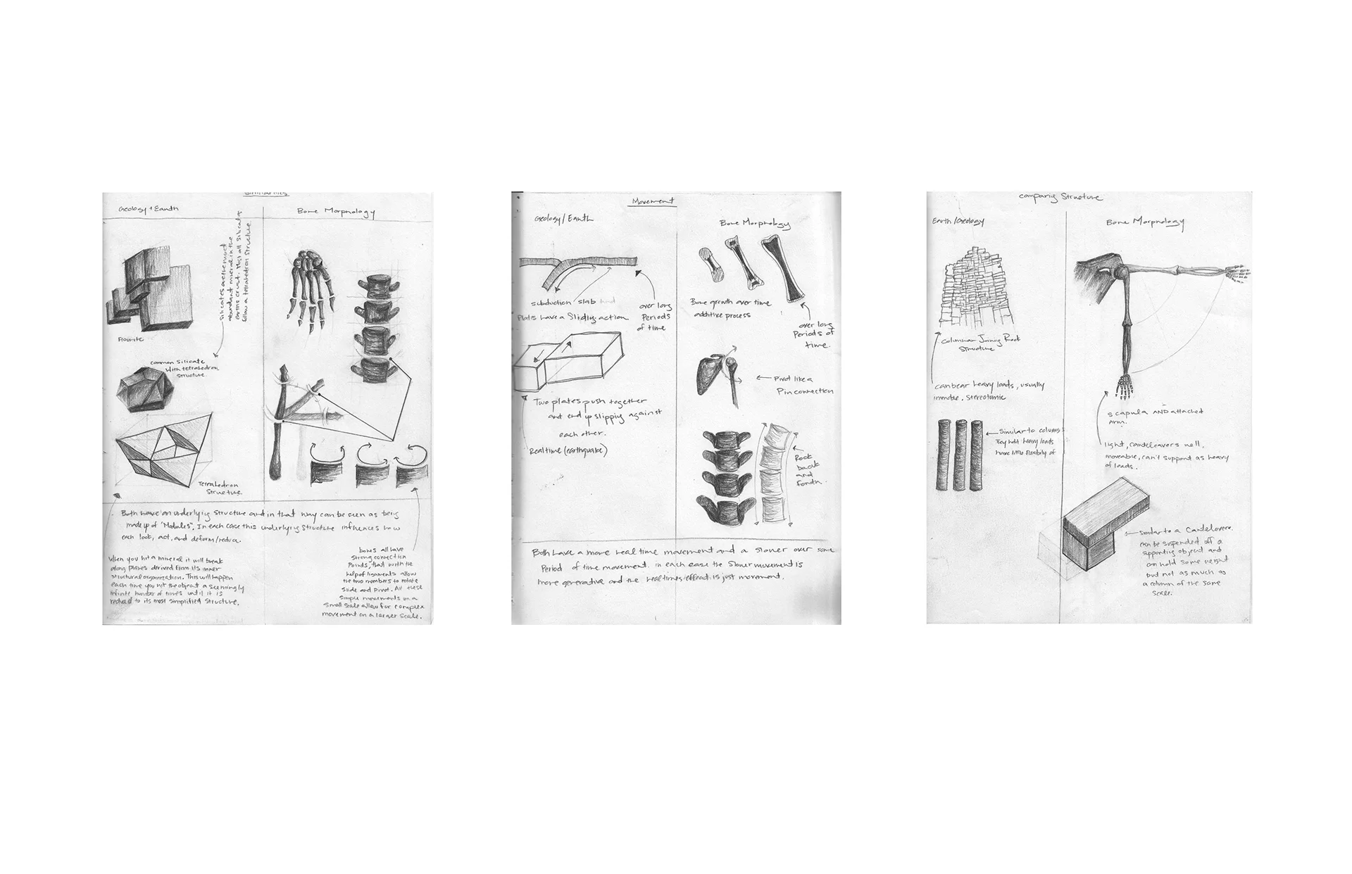 evidence sheets.jpg