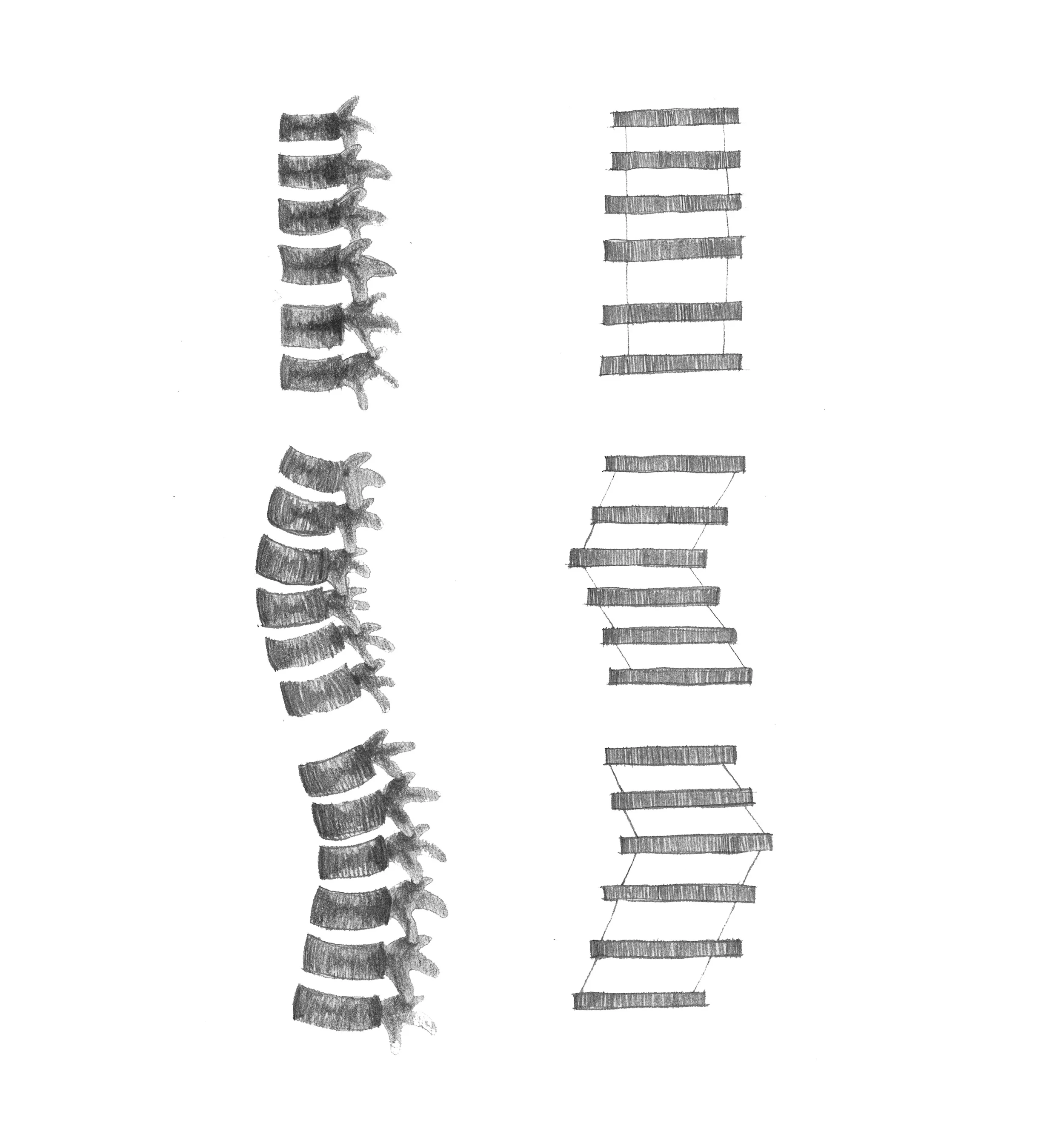 skeleton diagram.jpg