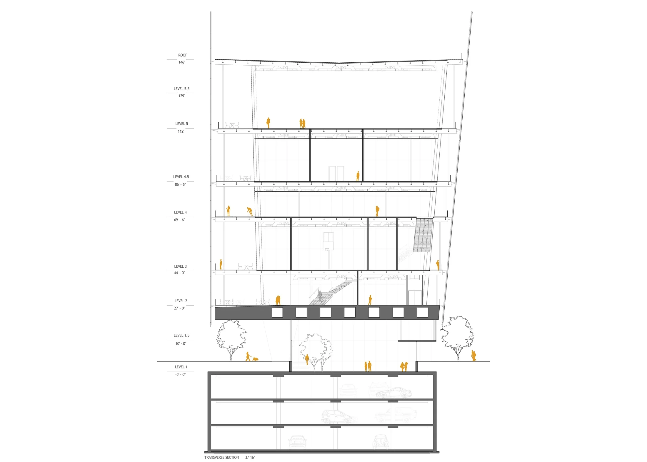 FINAL TRANSVERSE SECTION ---- 30 X 42 copy.jpg