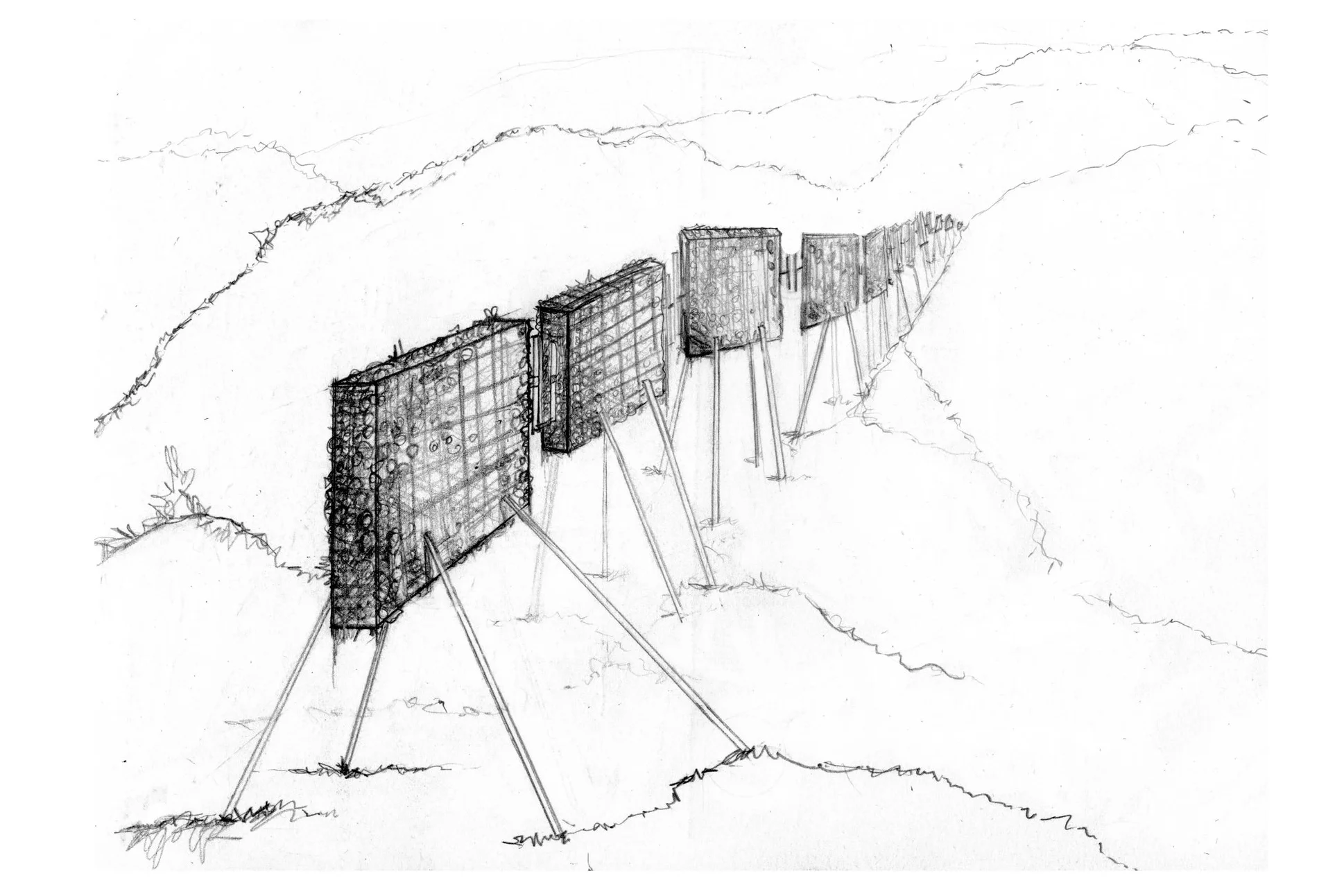 perspective 2.jpg