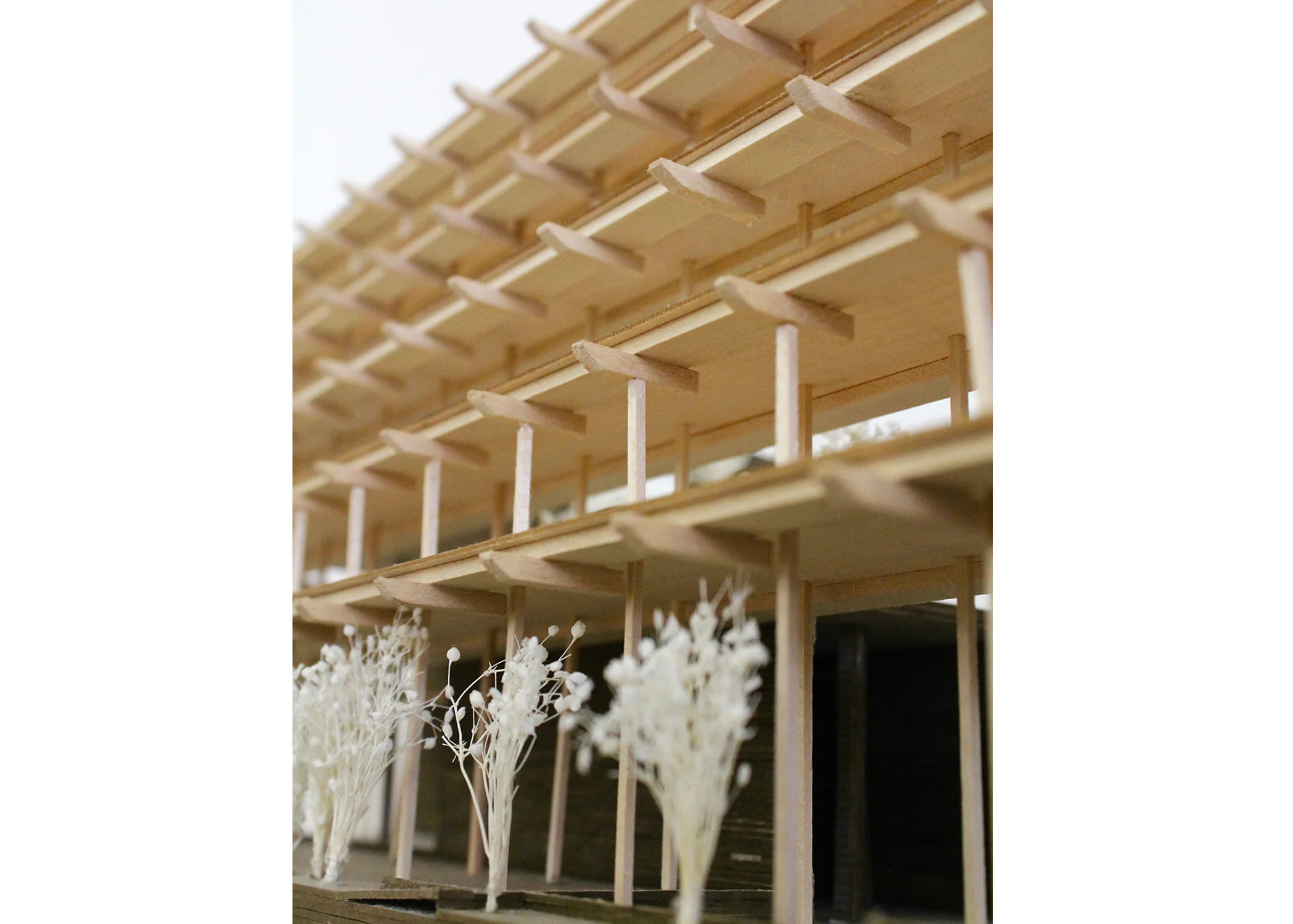 DETAIL PHOTO.jpg