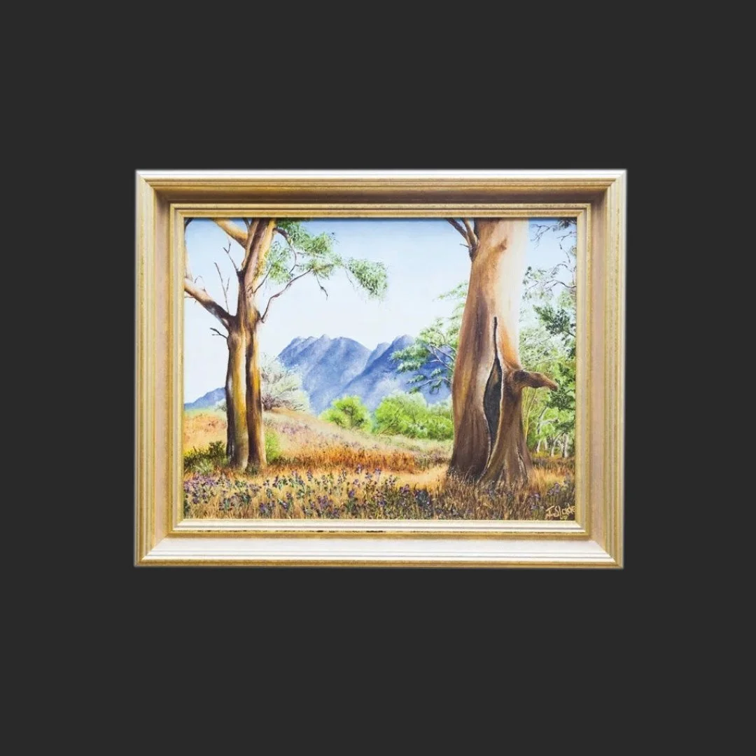 Flinders Ranges