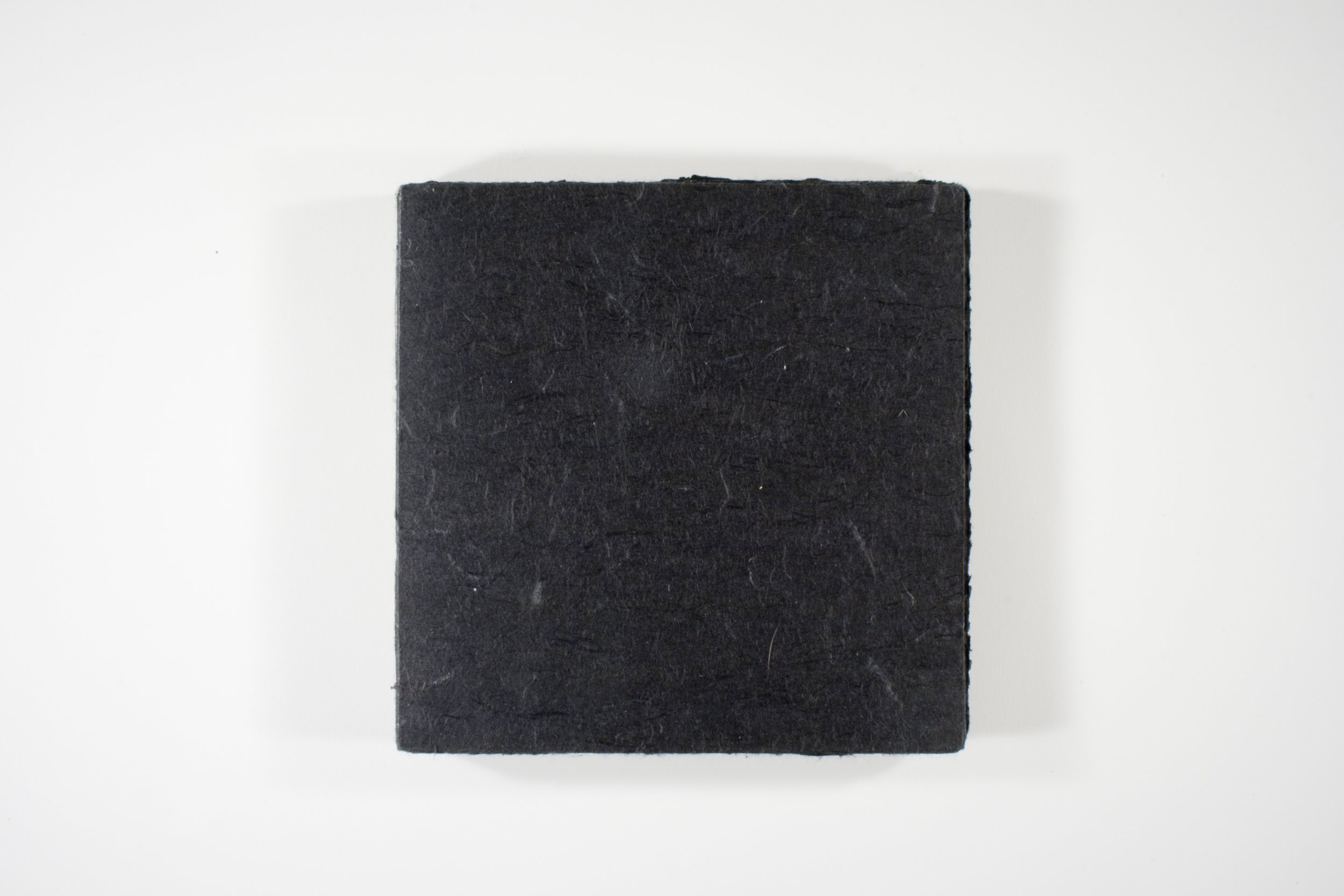 Inspired by a story about a murder of crows holding a funeral, this artist book examines the notion of family as the generations of those that have come before and the ritual of saying goodbye. 