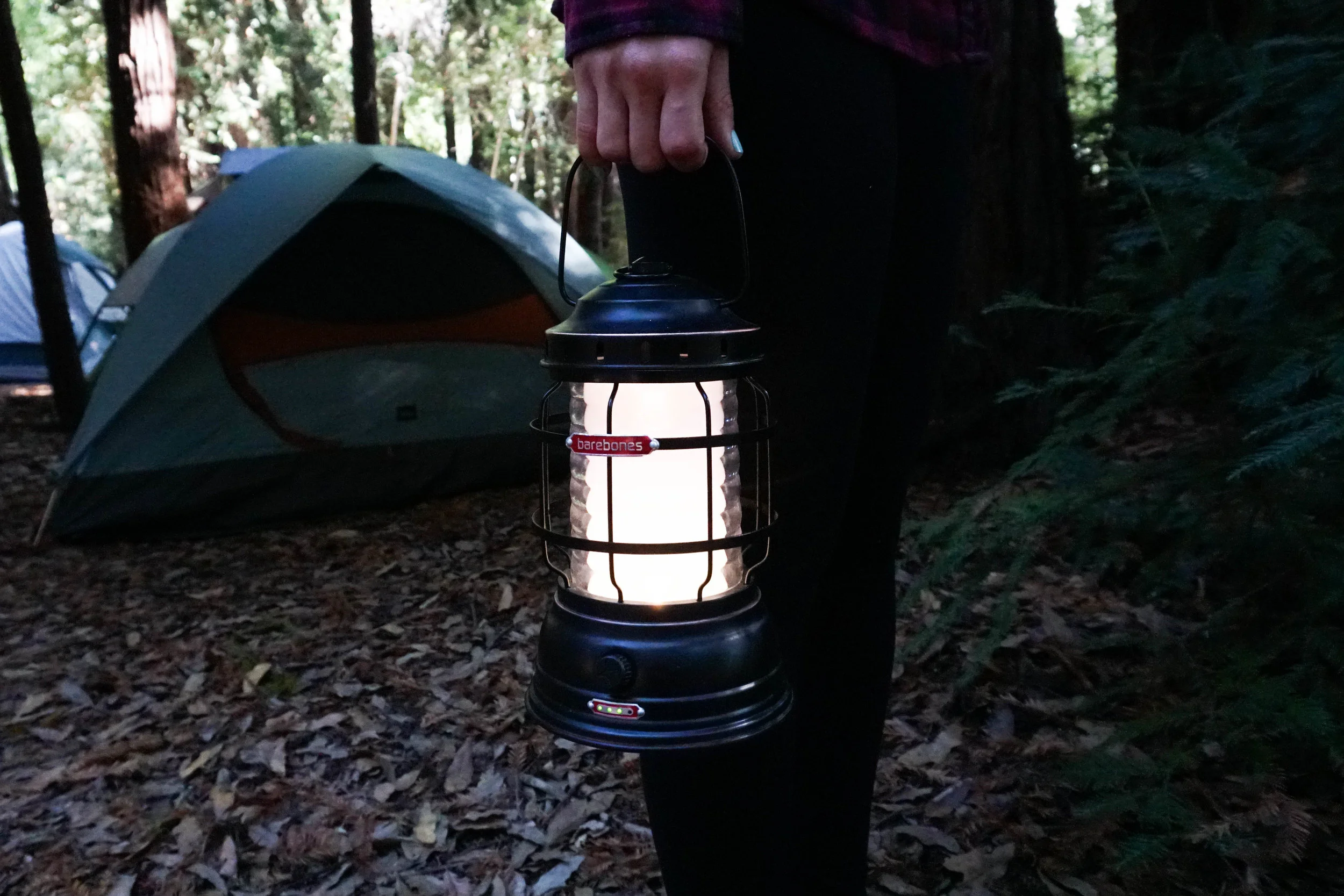 Barbones_Forest_lantern.jpg