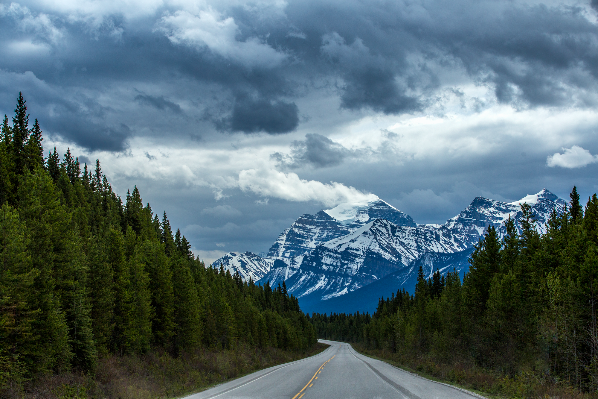 icefieldsparkway.png