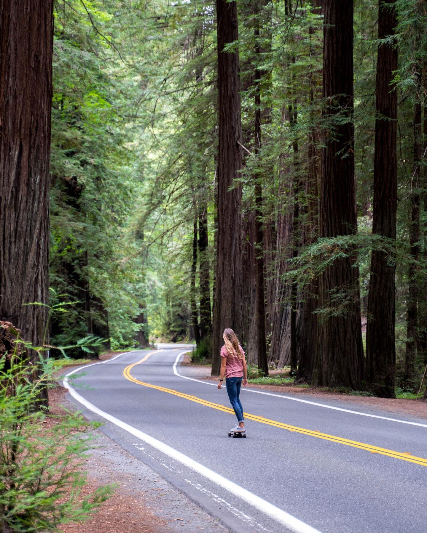 Exiting the high speeds of the 101, my pace slows down. As we drive further off the highway the day darkens and the sounds mute. We&rsquo;re amongst giants now. We nestle the van between the redwoods, make lunch and grab our skateboards. And as we ro