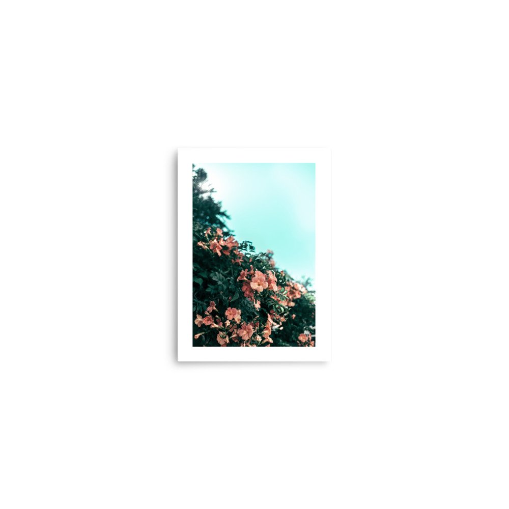 premium-luster-photo-paper-poster-(in)-5x7-front-6684b05c968b9.jpg