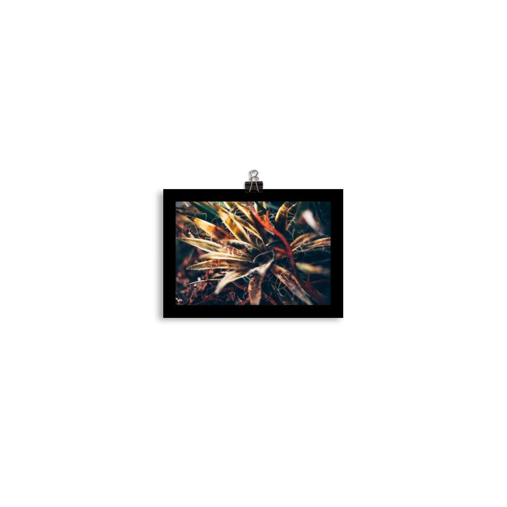 premium-luster-photo-paper-poster-(in)-5x7-transparent-6685f5b39d5a0.jpg