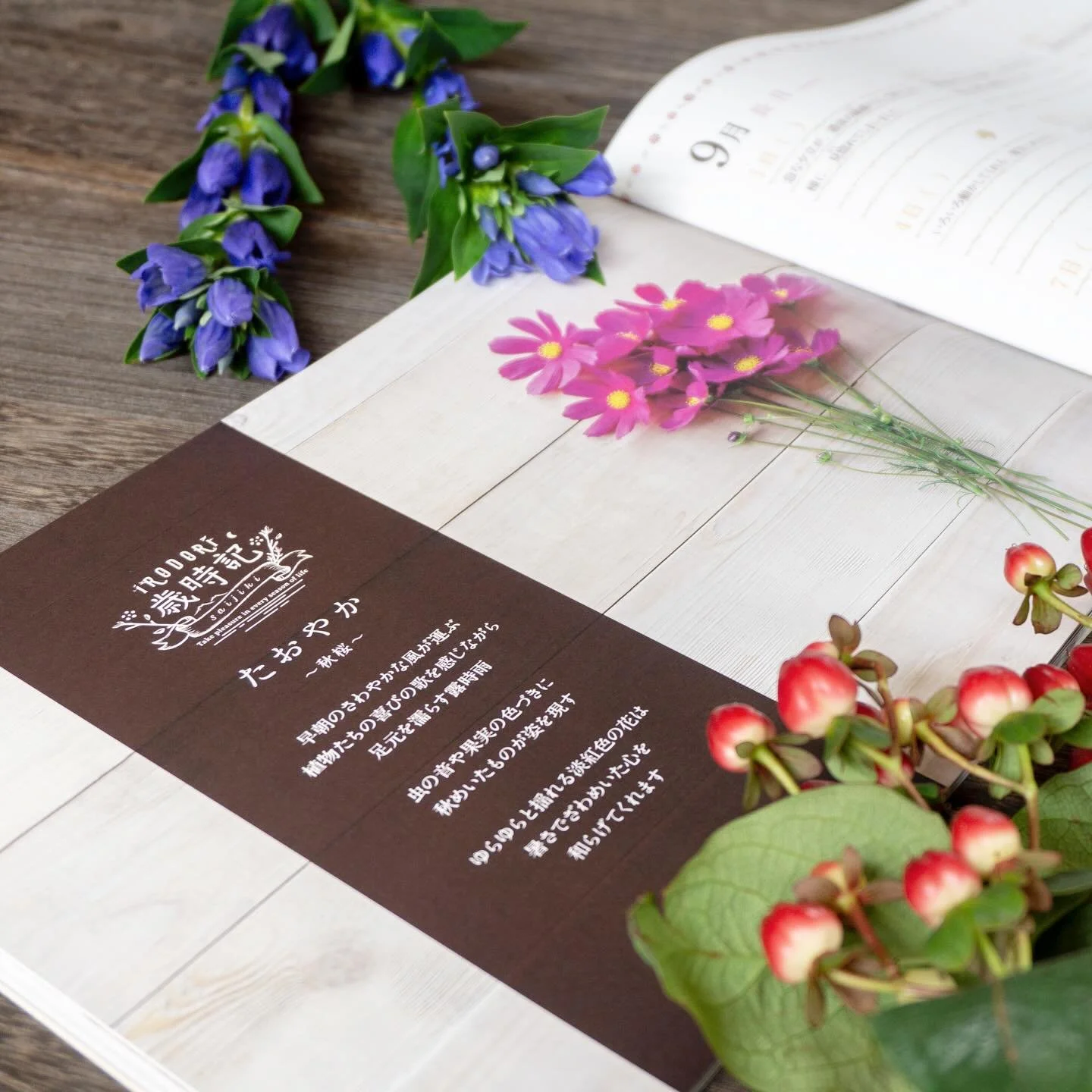 感謝の歳時記
9月〜長月〜
季節の言葉
ー＊ー＊ー＊ー＊ー＊ー＊ー＊ー＊ー
・野分
・鈴虫
・夜長
・秋雲
・水澄む
・蓑虫
・観月
・いわし雲
・風の盆
・天高し
ー＊ー＊ー＊ー＊ー＊ー＊ー＊ー＊ー
.
習慣によって自分の幸せに気づき
持続的な幸せを
.
日記帳を必要としている人はもちろん、
人生の節目（出産、結婚、就学、就職、転職、退職、転居）を迎えている方や、
前に進む力を作り出そうとしている方、
もう一度自分の幸せを再認識したい方はぜひお使いください！
.
詳細はショップサイトへ
ht