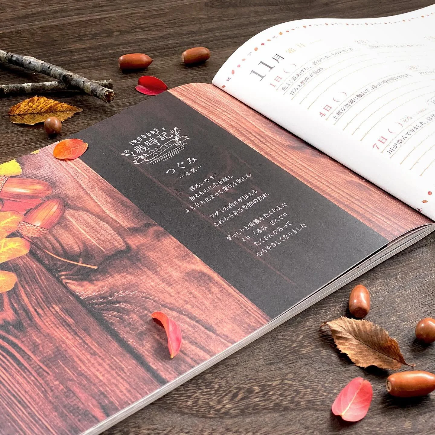 感謝の歳時記
11月〜霜月〜
季節の言葉
ー＊ー＊ー＊ー＊ー＊ー＊ー＊ー＊ー
・冬めく
・熊手
・時雨
・木の葉
・七五三
・大根洗う
・小春日和
・酉の市
・北窓塞ぐ
・大根干す
ー＊ー＊ー＊ー＊ー＊ー＊ー＊ー＊ー
.
習慣によって自分の幸せに気づき
持続的な幸せを
.
日記帳を必要としている人はもちろん、
人生の節目（出産、結婚、就学、就職、転職、退職、転居）を迎えている方や、
前に進む力を作り出そうとしている方、
もう一度自分の幸せを再認識したい方はぜひお使いください！
.
詳細はショッフ