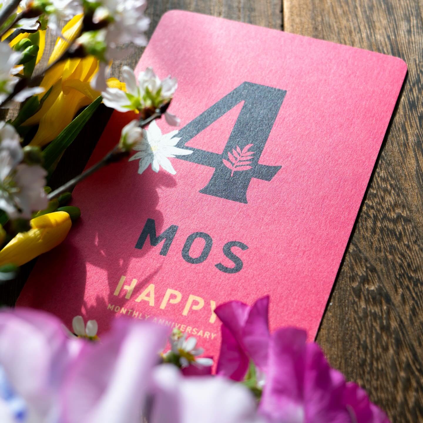 IRODORI 9年4ヶ月の誕生日
寒い時ほど
ポカポカひなたぼっこ
. #irodori_baby #irodori_4mos #monthlyphoto #マンスリーフォト #マンスリーカード フォトカード 4ヶ月 出産祝い ベビーギフト 4months photo irodoribaby 新米ママ マタニティー 出産準備 アニバーサリー anniversary お祝い プレママ 成長記録 簡単成長記録 ベビーフォト cadeaubebe cadeaunaissance