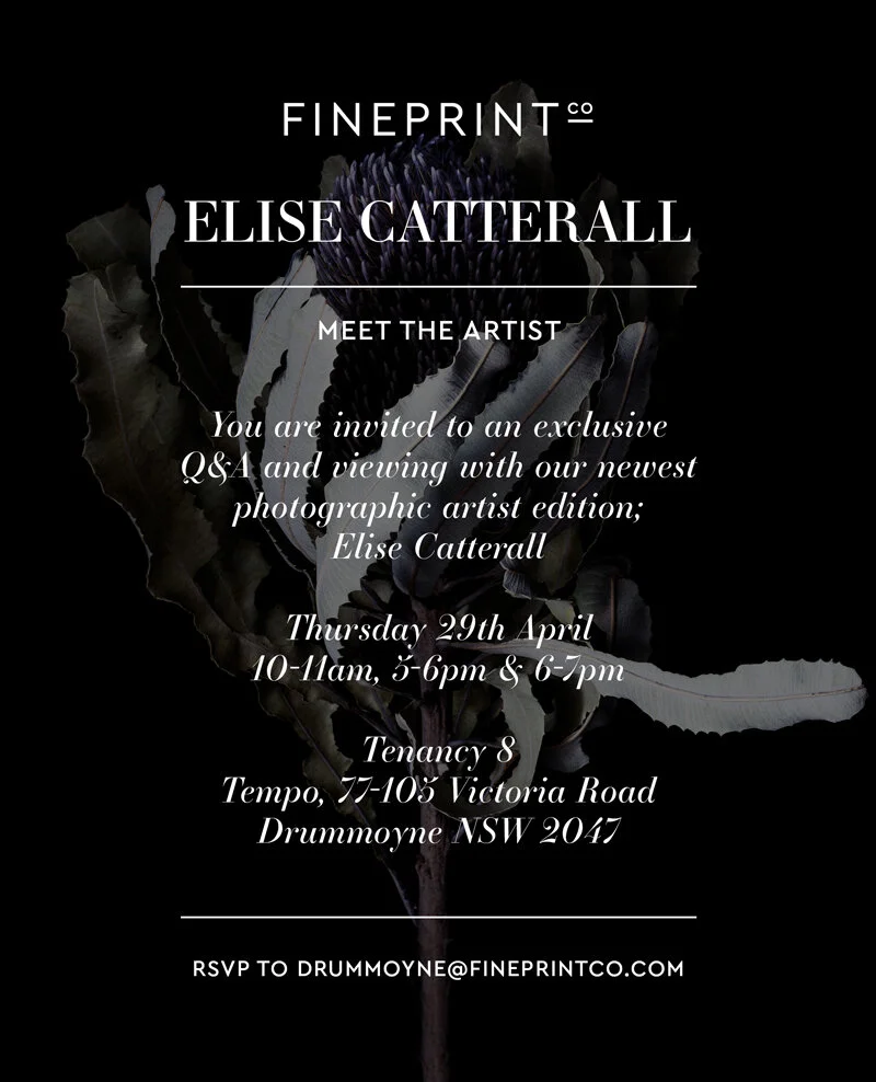 Invitation-Trade-Elise-Catteral 2.JPG
