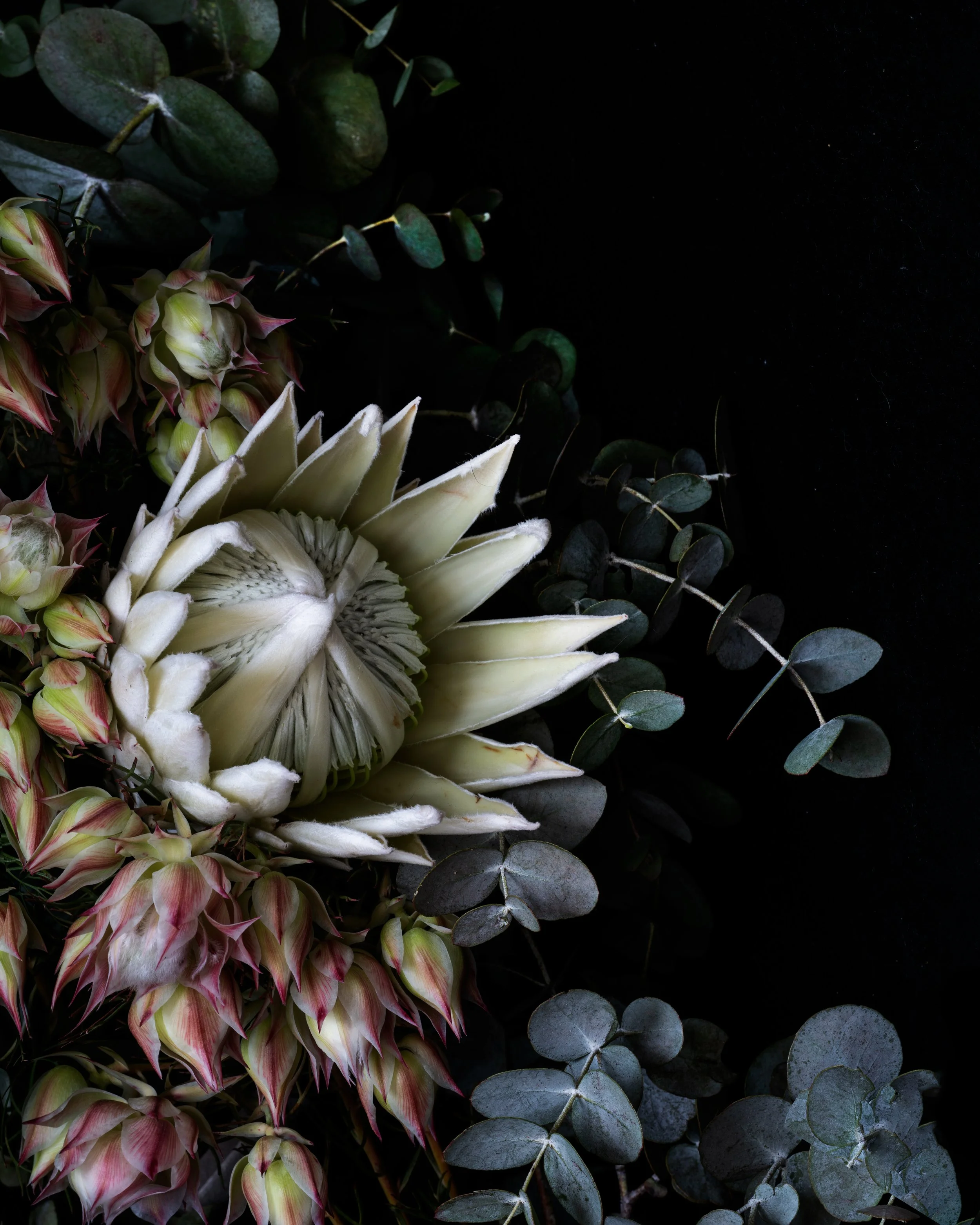 FLOWER PHOTOGRAPHY FOR INTERIOR DESIGN - CUSTOM ARTWORKS AND FLORAL