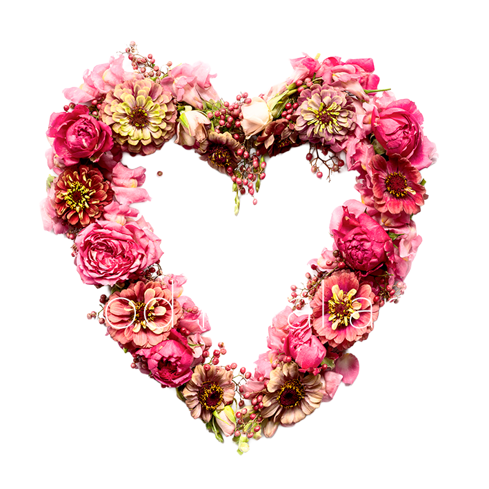 Heart Open sm copy.png