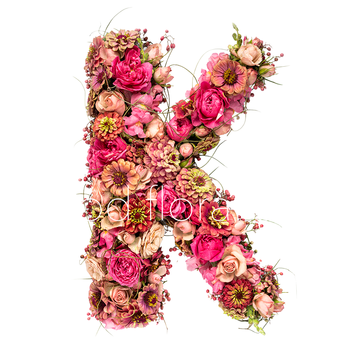 K DSC00775 sm.png