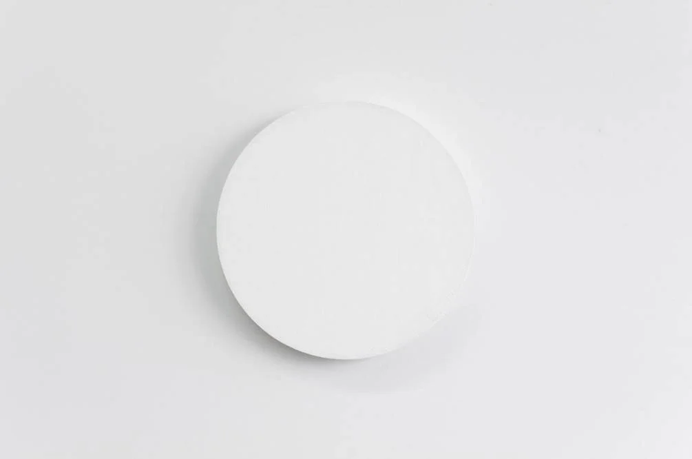 "Untitled Summer Suite" at FF Projects
