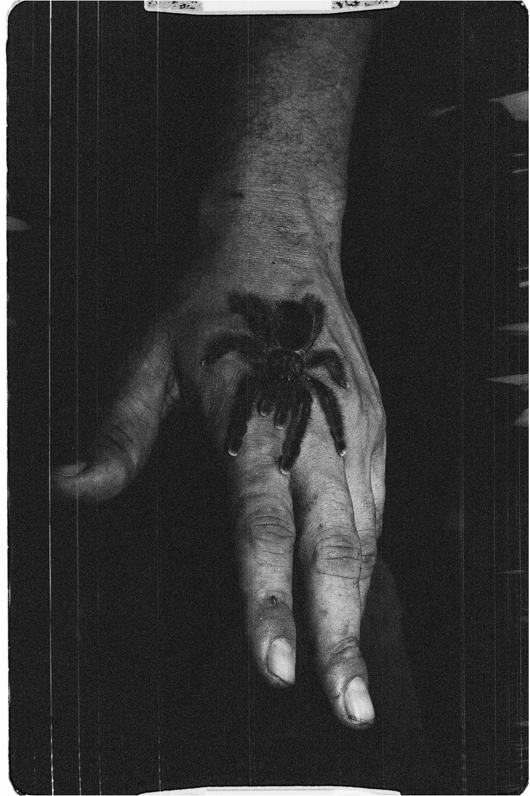 000037 (1) copie.jpg
