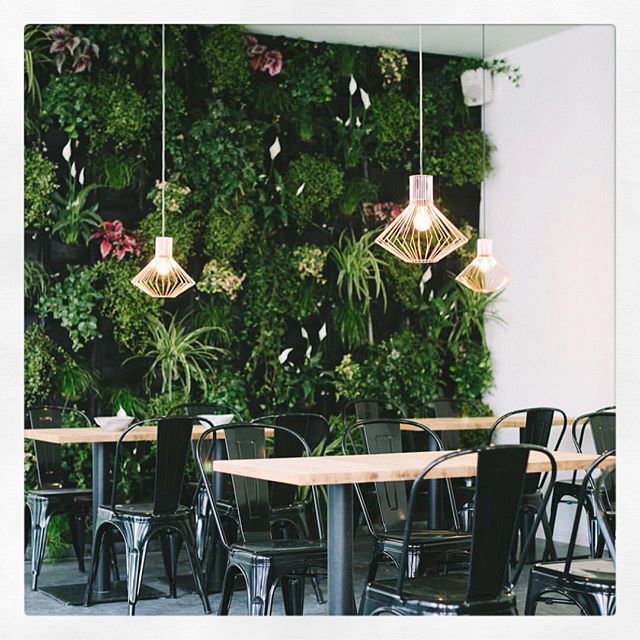 WHAT A NICE AND GRREN PALCE IN COLOGNE 🐍🐢🍀 SUNDAYS @edelgrun #notanothersaladbar #startgreen #comfortfood 
#greenfood #healthybreakfast #healthyfood #nogluten #eatgreen #grrens #cologne #foodlover #colognegirl #colognefood