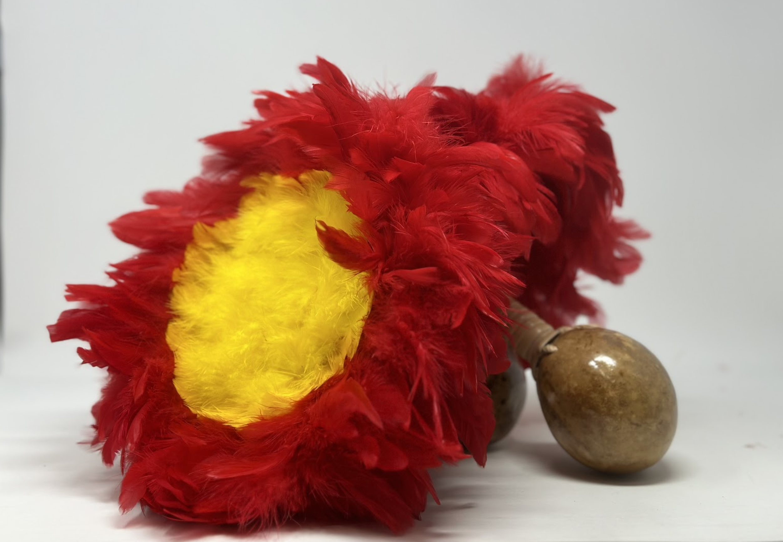 Screenshot 2024-10-23 at 2.48.27 PM.png