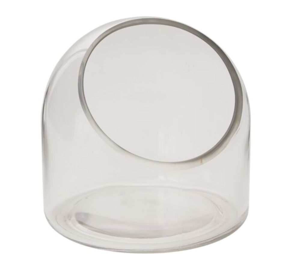 Warner Terrarium 5.75%22x5.75%22.png