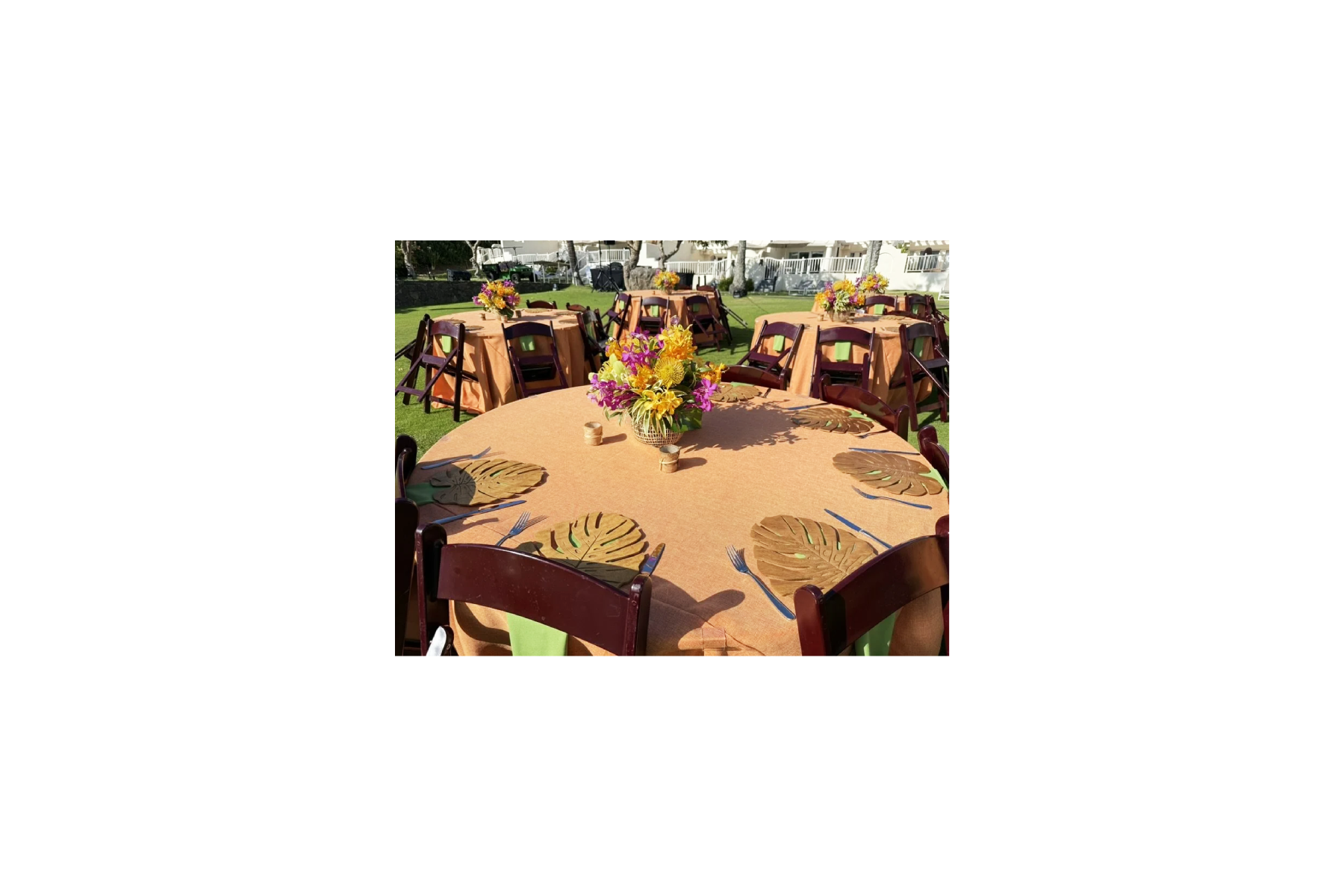 Charger Light Maple Monstera Listing.png