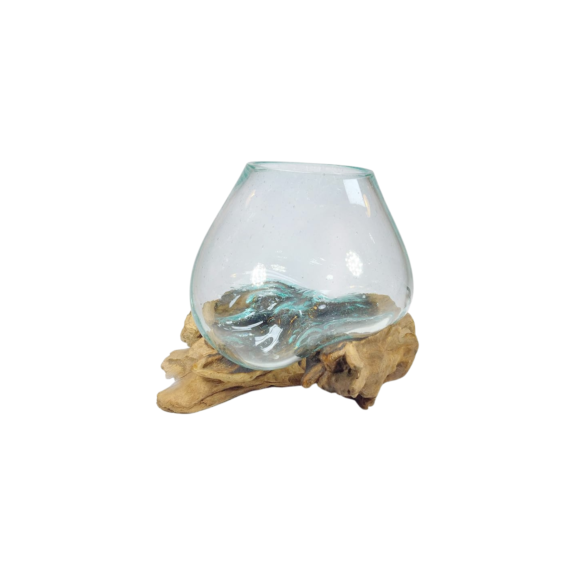 Blown Glass Terrariums