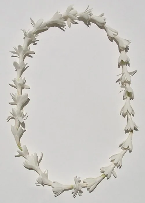 62812-Tuberose-lei.jpg