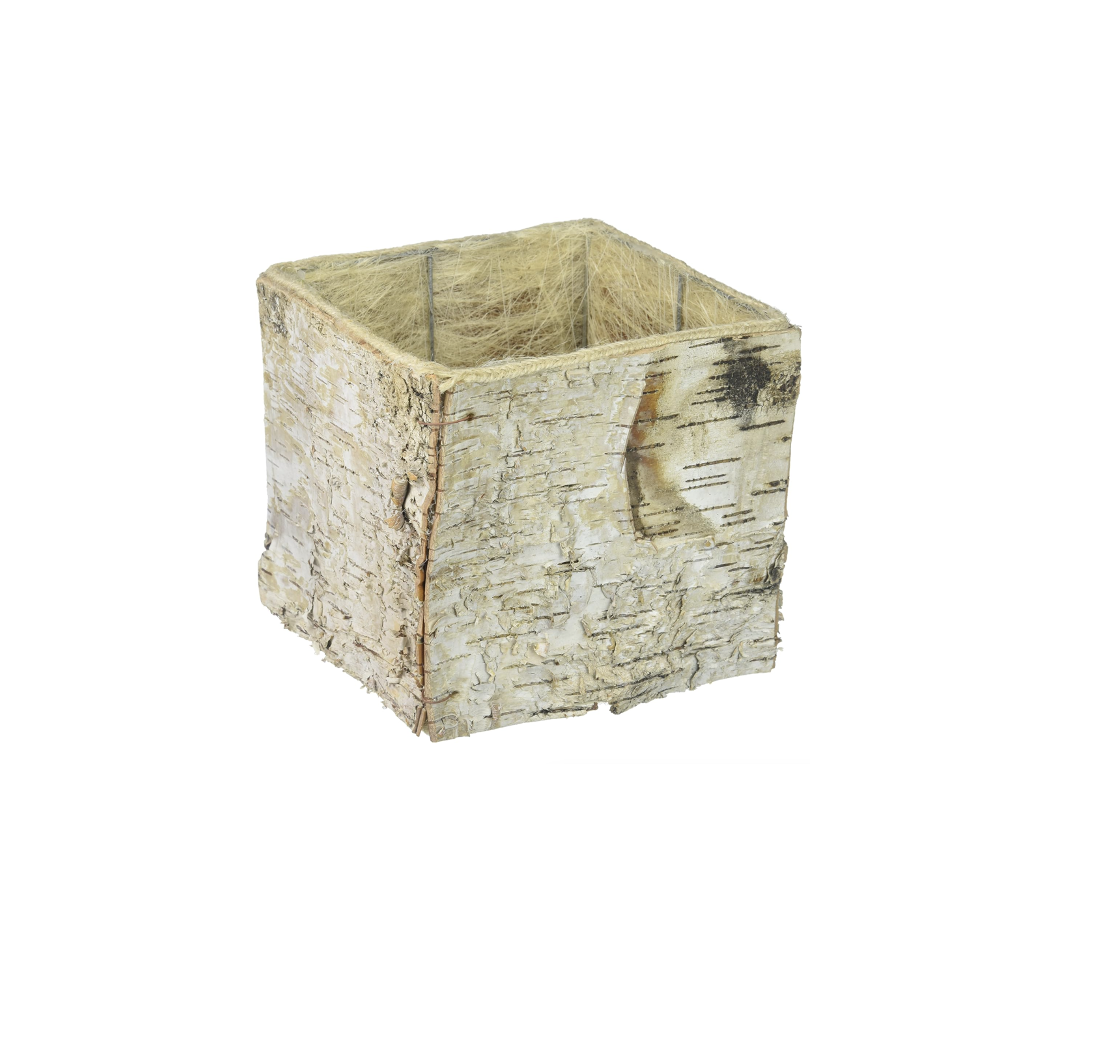 Screenshot 2024-12-12 at 11.48.29 AM.png