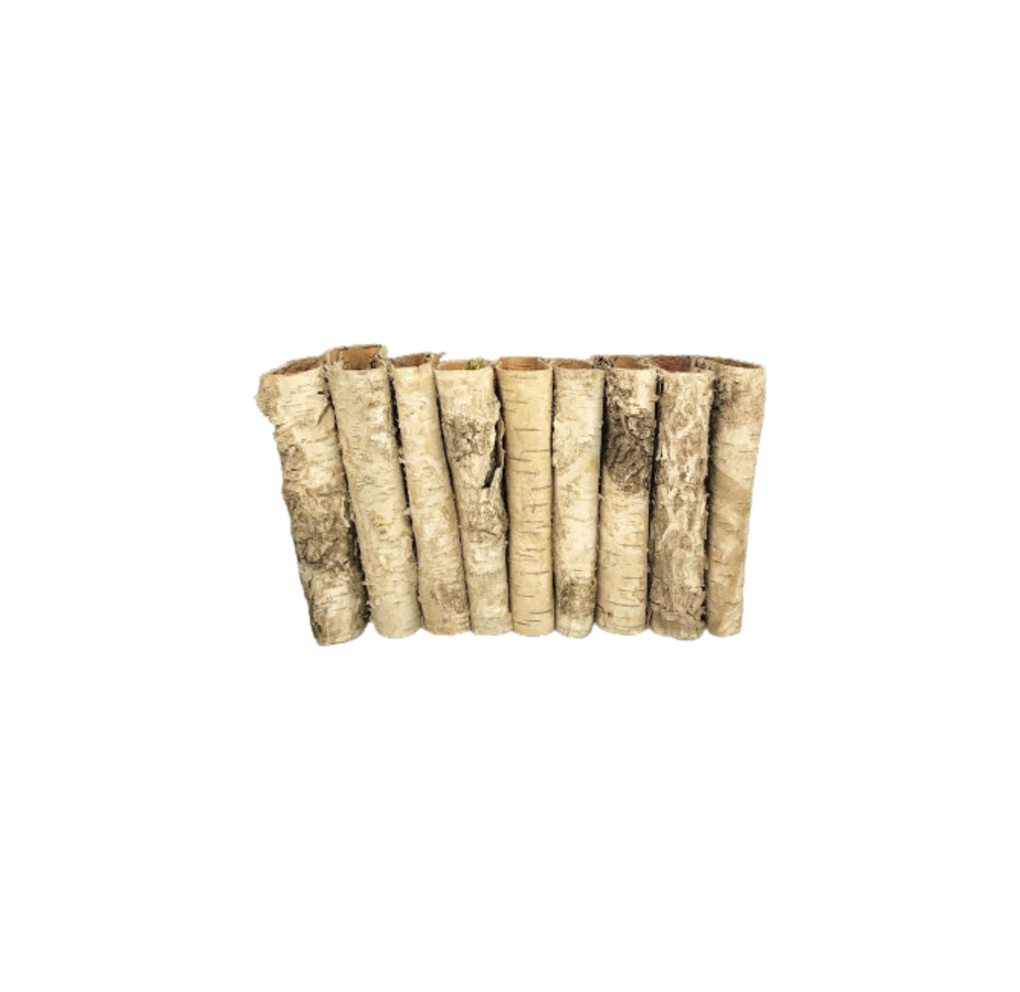 Birch Roll Vase