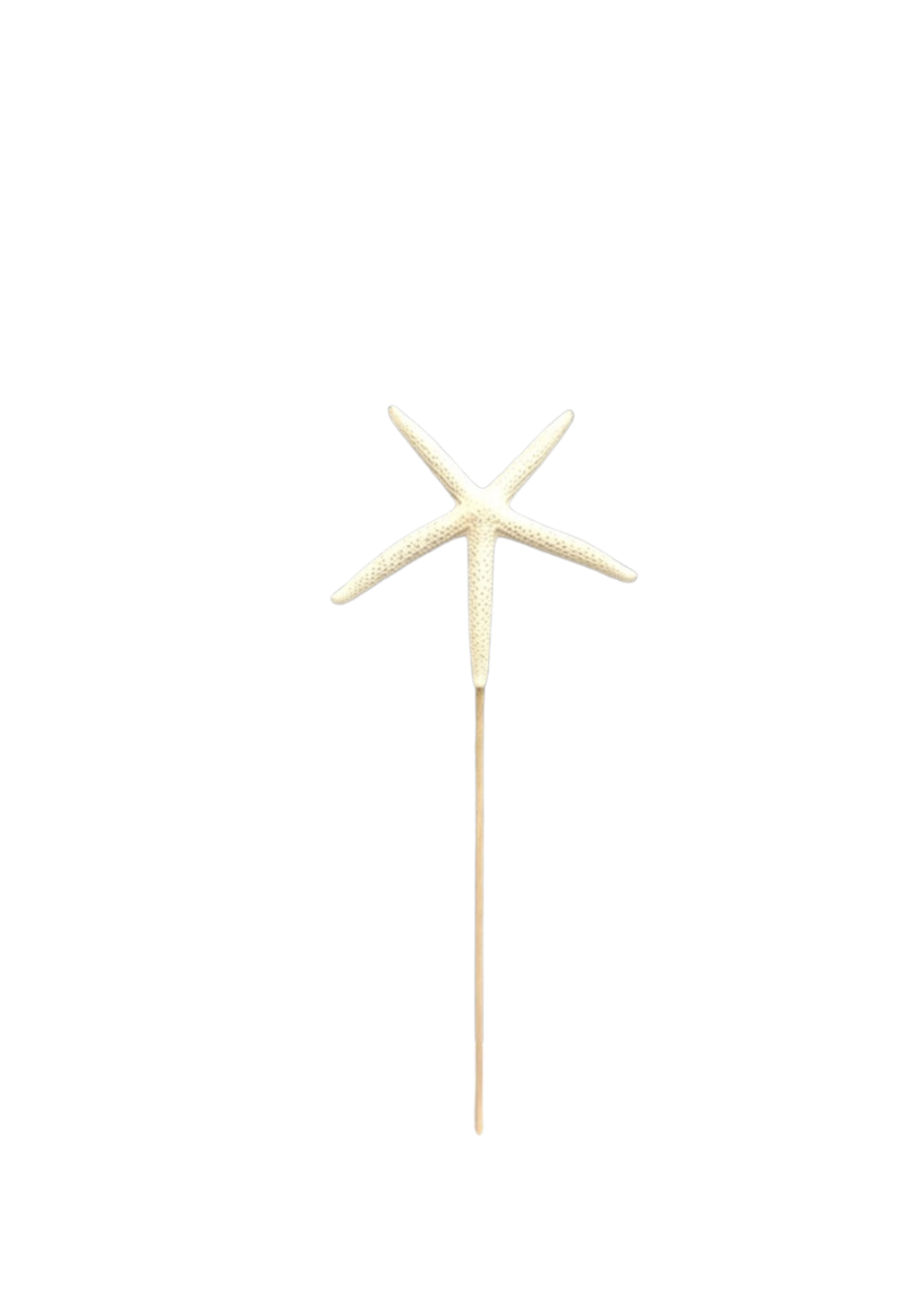 Small Starfish Picks
