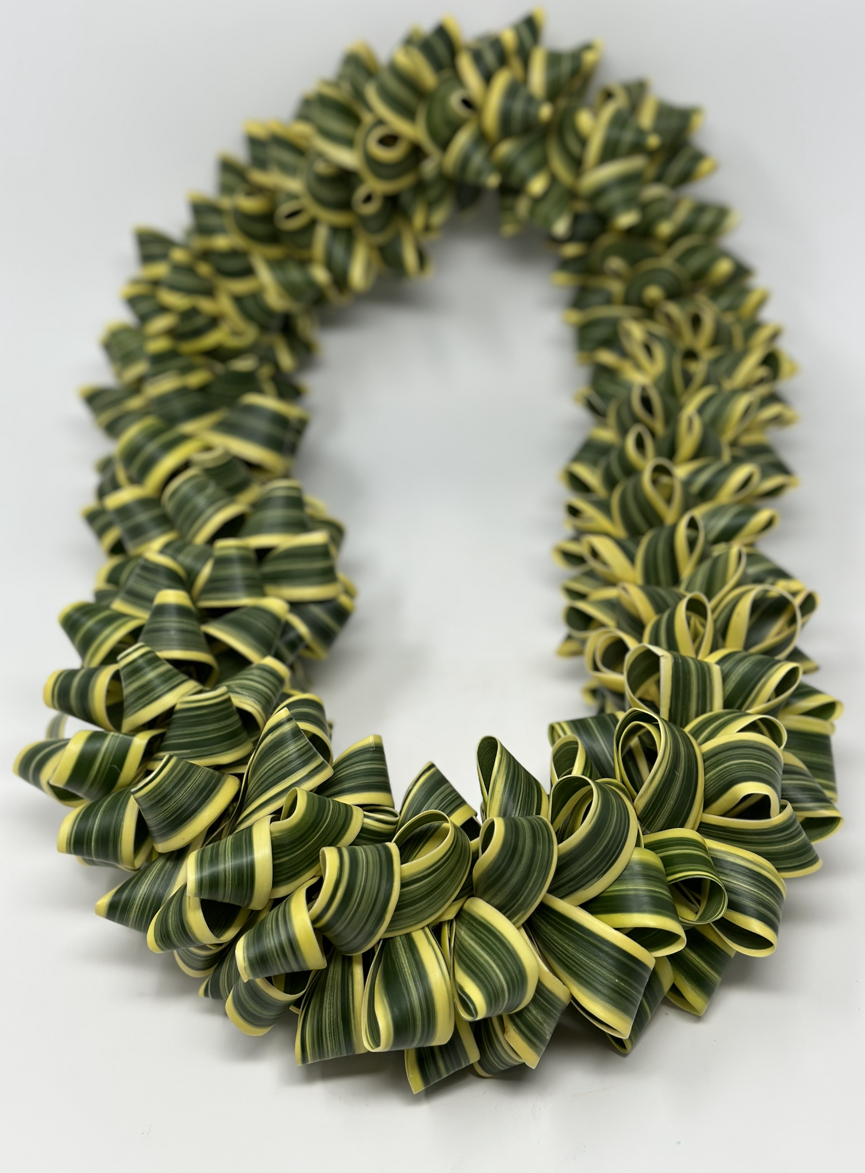 Screenshot 2024-12-30 at 1.54.49 PM.png