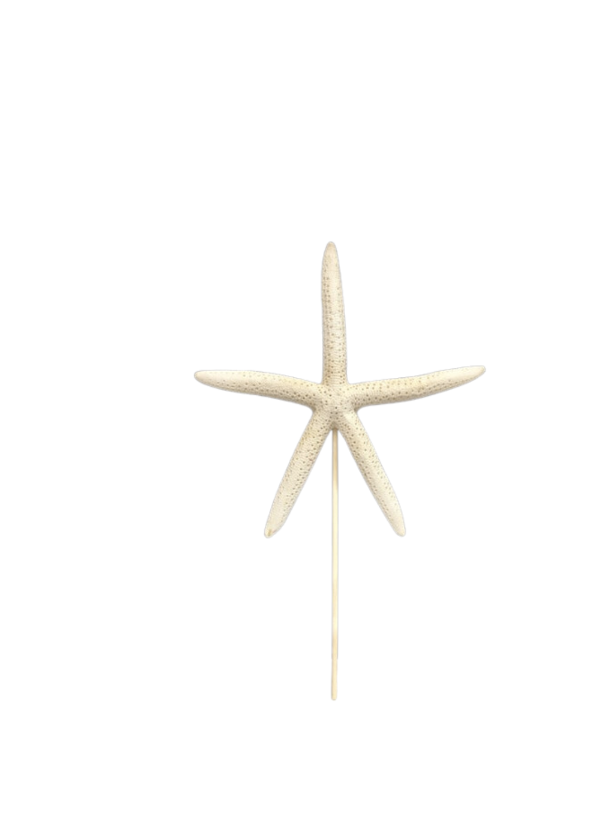 Large Starfish Picks
