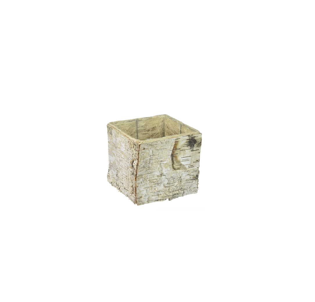 Birch Cube Vase