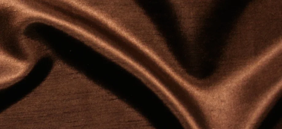 Shantung Napkin - Brown