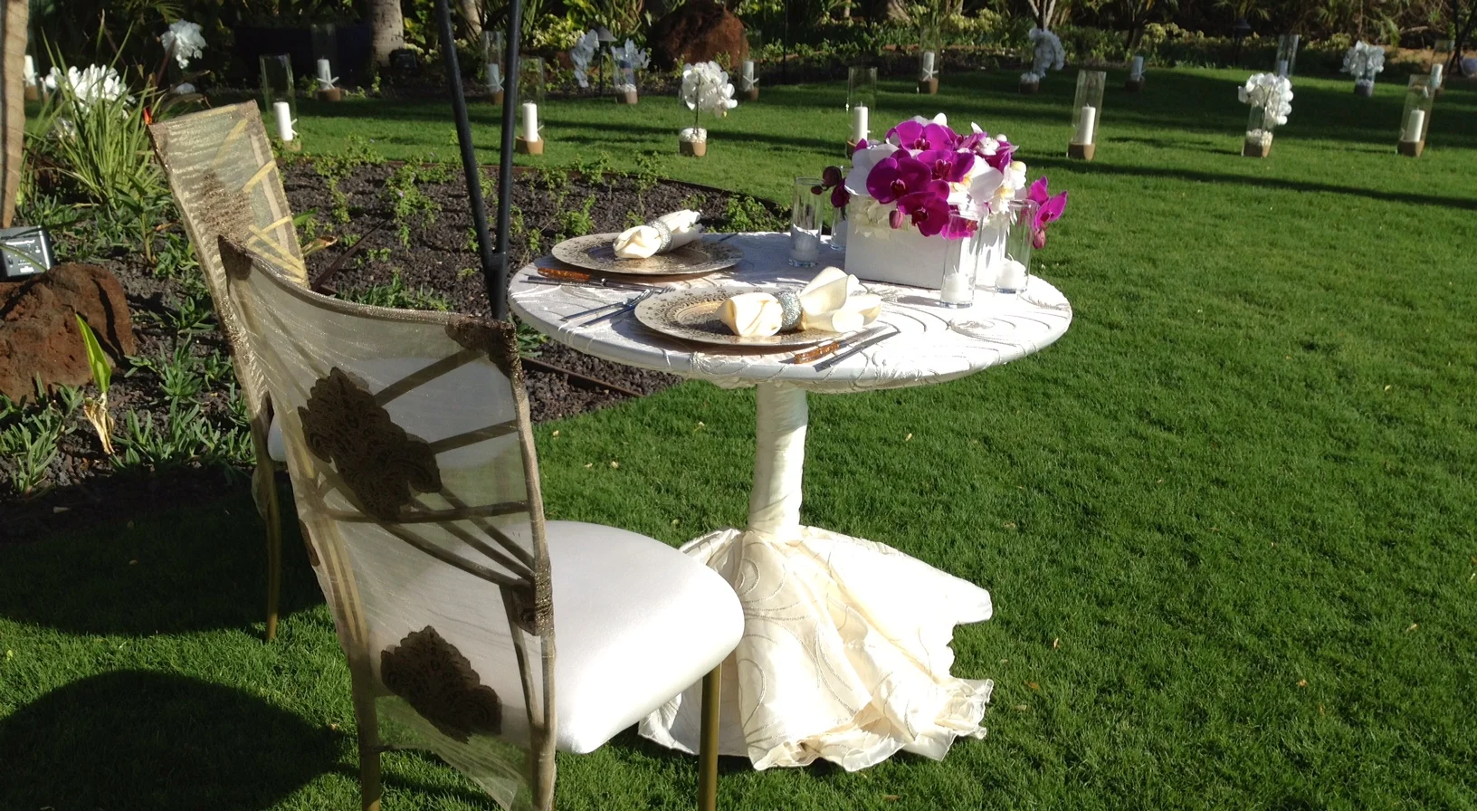 Sea Shells - White / Ivory