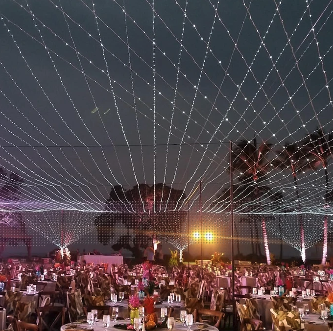 Twinkle Light Canopy