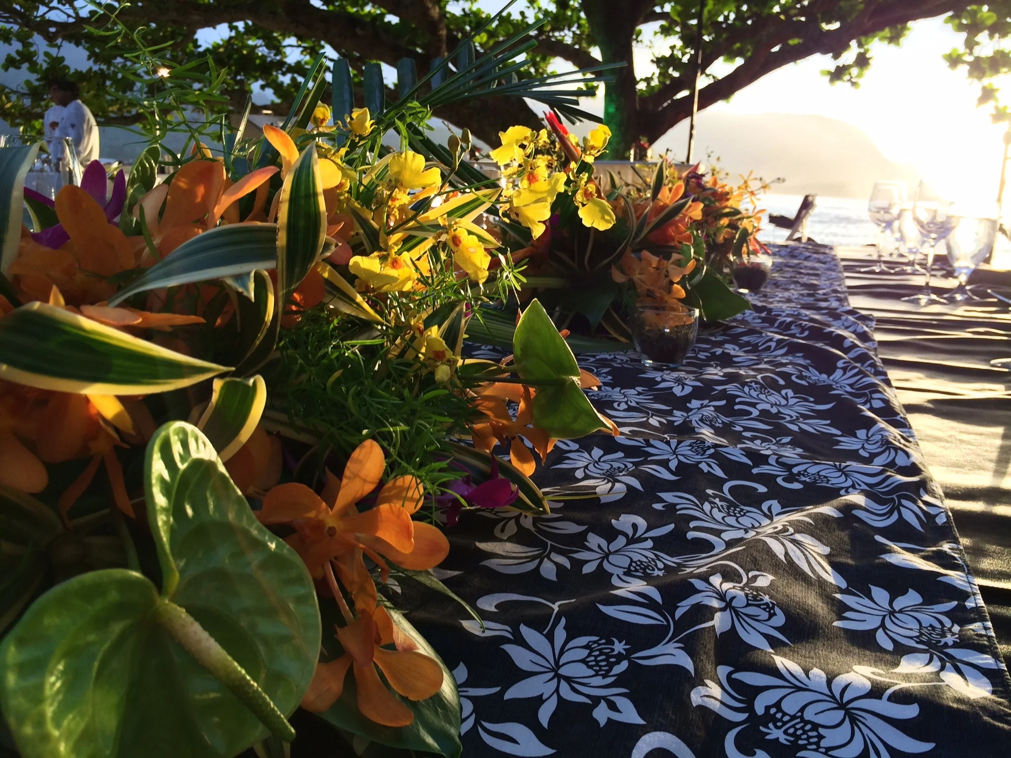 Protea Runner - Black White