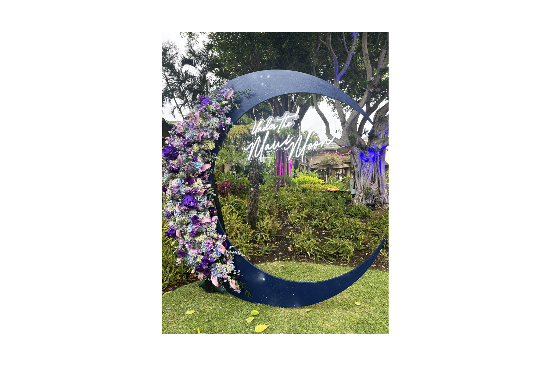 Photo Op - Moon Neon Listing.png