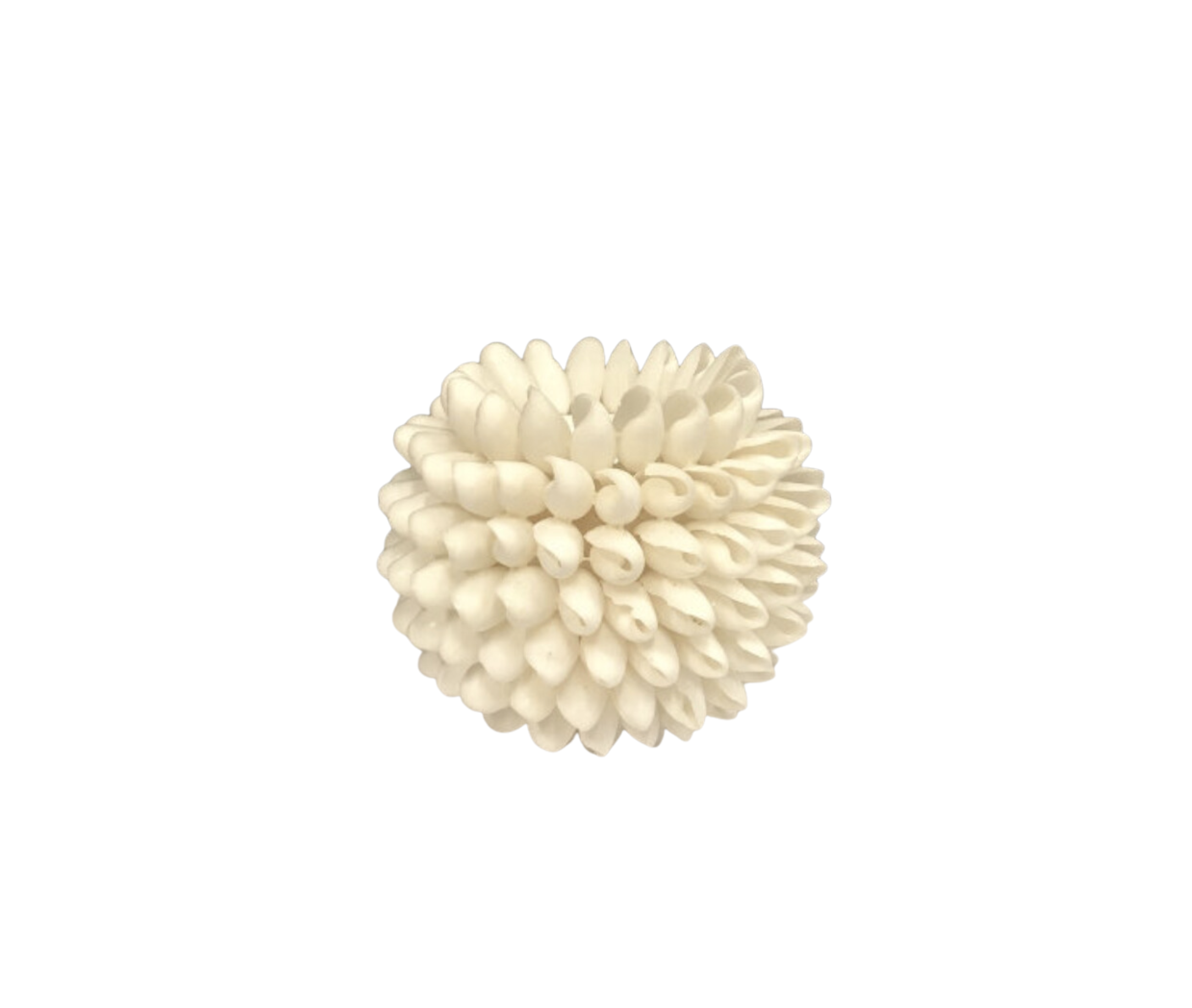 White Shell