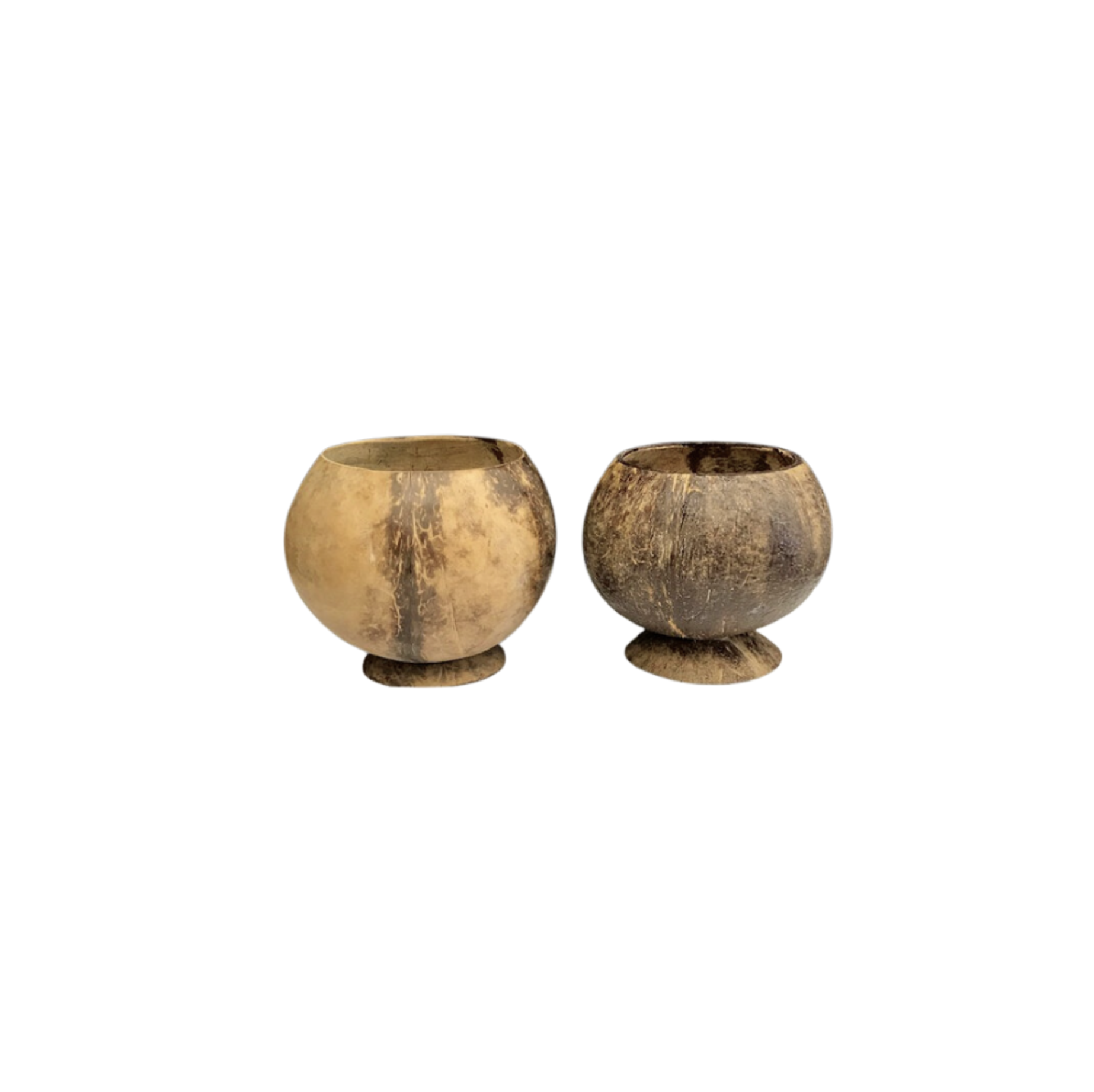 Small Assorted Coconut Cups